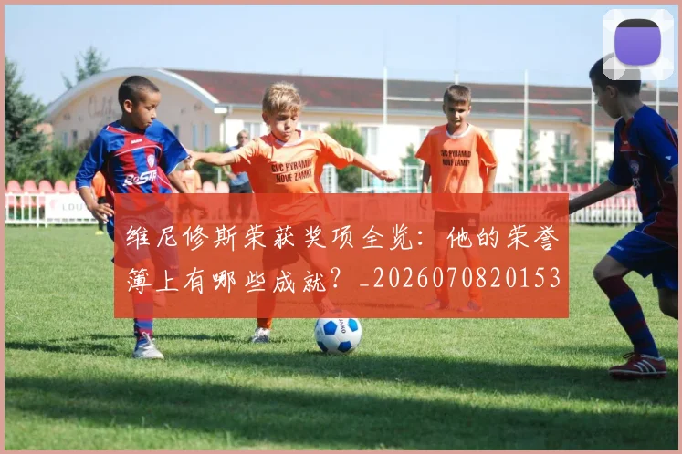 维尼修斯荣获奖项全览:他的荣誉簿上有哪些成就?_20260708201536