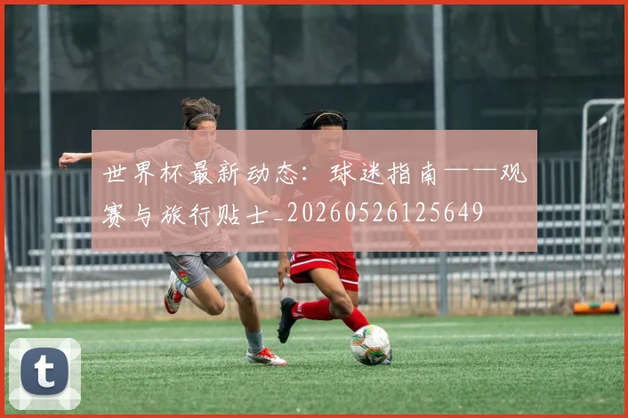 世界杯最新动态:球迷指南——观赛与旅行贴士_20260526125649